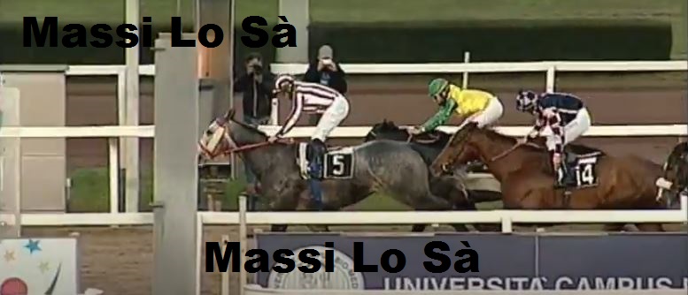 Ippica, Roma: Oggi 22/01 Risultati Odierno Convegno di&nbsp;Corse