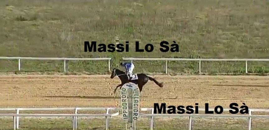 Ippica, Villacidro: Oggi 09/12 Corse Anglo-Arabi, Vince Regal&nbsp;Lady