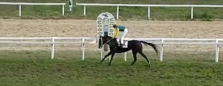 Ippica, Milano e Villacidro: Oggi 10/11 Risultati Odierni Convegni di&nbsp;Corse