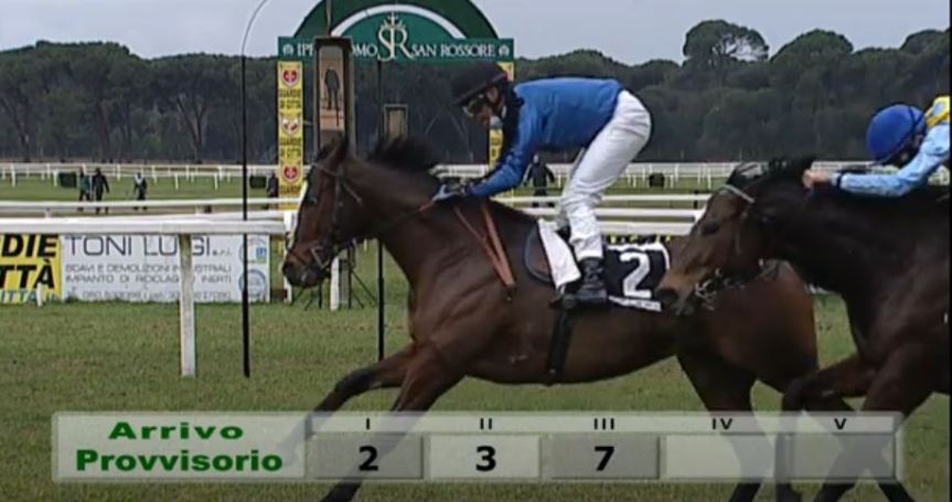Palii e Corse in Provincia: Oggi 01/01 Antonio Siri detto “Amsicora” ha vinto a Pisa la Corsa per G.R. e Amazzoni su Burmese&nbsp;Whisper