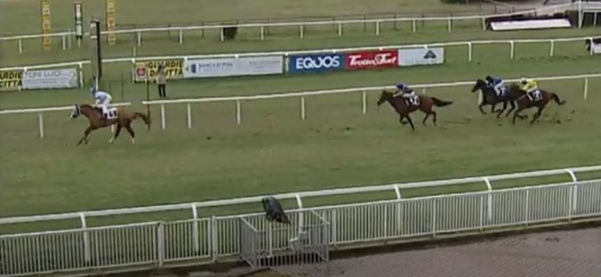 Ippica, Pisa: Oggi 14/01 Risultati Odierno Convegno di&nbsp;Corse