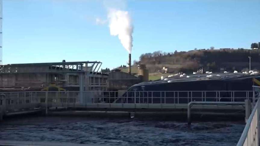 Toscana: Distilleria Deta, interrogazione di Migliorino (M5s) al ministro&nbsp;Cingolani