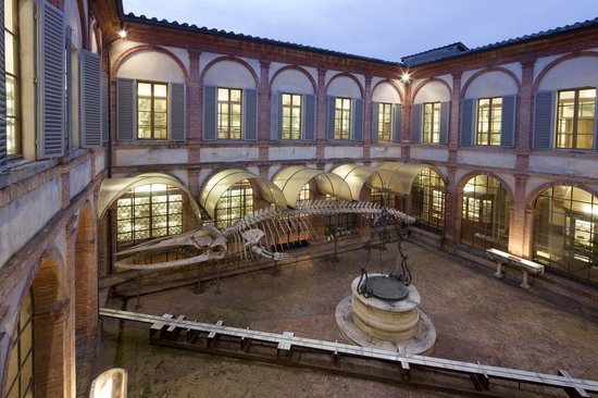 Siena: Toscana, 1 milione e 300 mila euro per musei ed ecomusei di rilevanza&nbsp;regionale