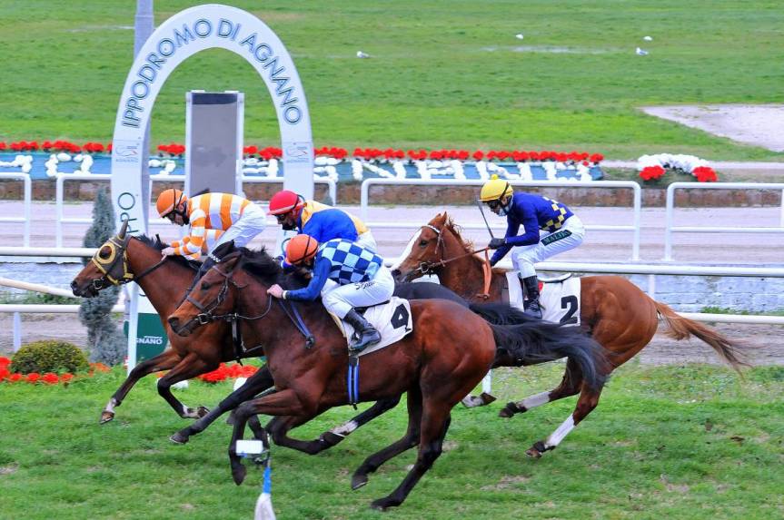 Ippica, Napoli: Oggi 16/02 Risultati Odierno Convegno di&nbsp;Corse