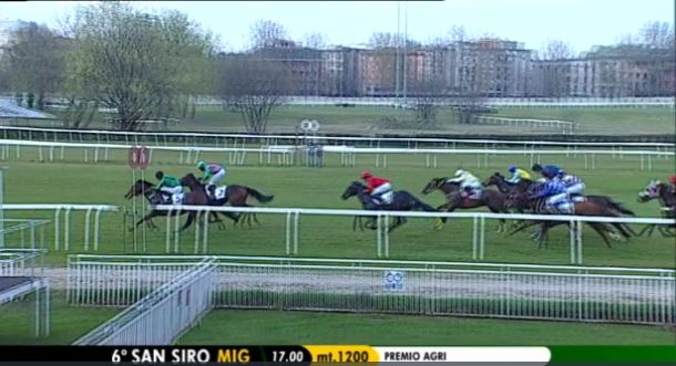 Ippica, Milano: Oggi 31/03 Risultati Odierno Convegno di&nbsp;Corse