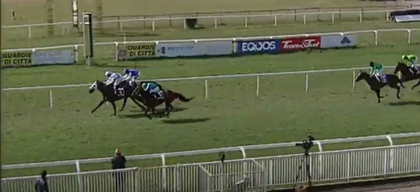 Ippica, Pisa: Oggi 28/10 Risultati Odierno Convegno di&nbsp;Corse