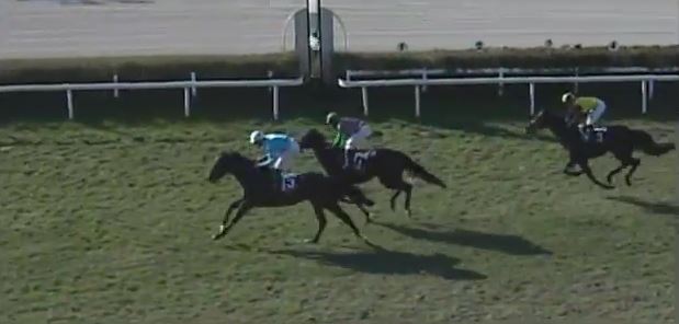 Ippica, Treviso: Oggi 12/11 Risultati Odierno Convegno di&nbsp;Corse