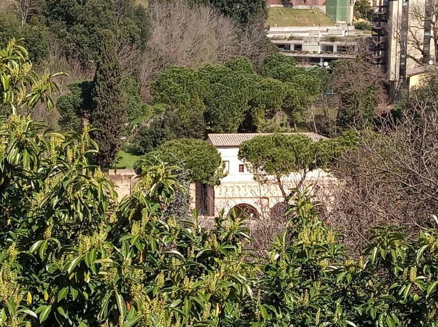 Siena, Siena Ideale: ”Indagine in corso della Procura sull’inquinamento delle acque delle Fonti di&nbsp;Pescaia”