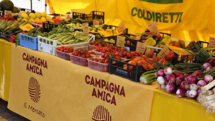 Toscana, G20: Oltre 5,5 milioni di chili di cibo donati da Campagna&nbsp;Amica