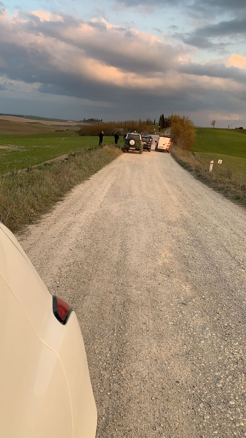 Provincia di Siena: Interrotte le ricerche per l’animale selvatico avvistato a Radi, nessuna altra&nbsp;segnalazione
