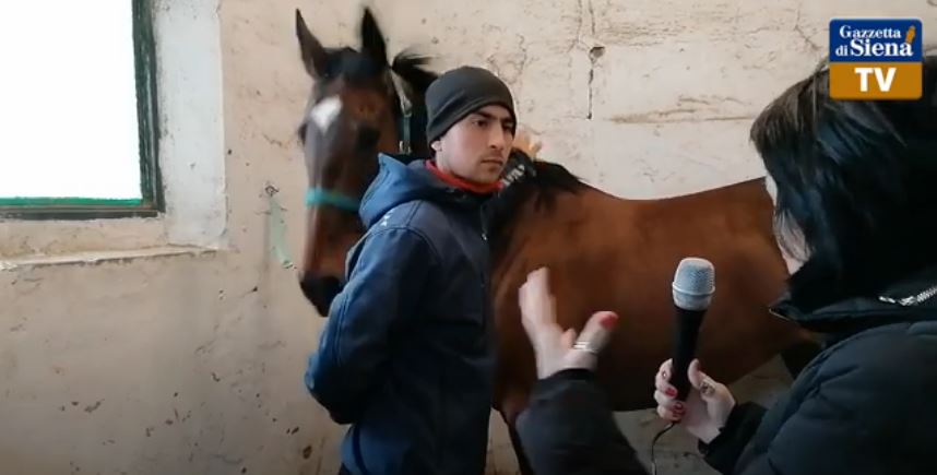 Siena, Gazzetta di Siena: Sotto Frusta – Ep. 37 Alessio Giannetti, ritorno al&nbsp;futuro