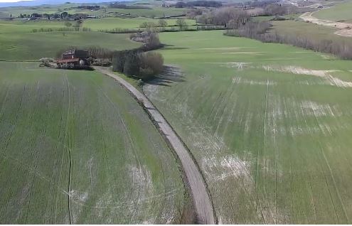 Siena: Il mistero della leonessa resta. Una studentessa la&nbsp;avvista