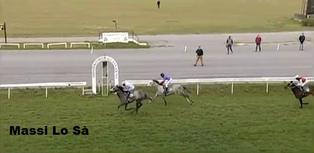 Ippica, Firenze: Oggi 15/04 Bramosu De Campeda Vince la 1^ Corsa per A.A., Cuore Impavido Vince la 3^ Corsa per&nbsp;A.A.