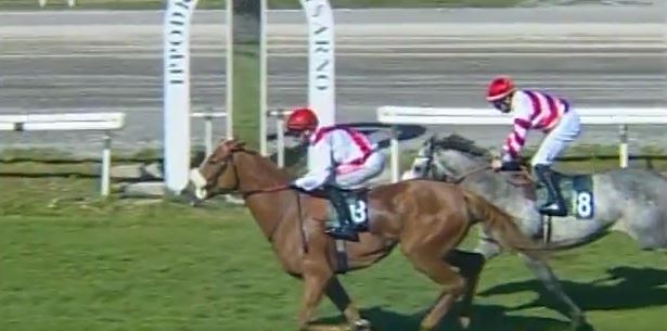 Ippica, Milano, Firenze e Siracusa: Oggi 10/04 Risultati Odierni Convegni di&nbsp;Corse