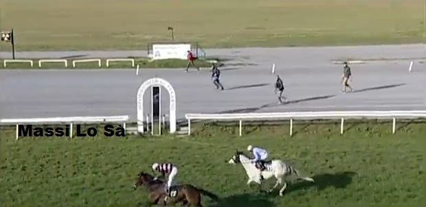 Ippica, Firenze: Oggi 15/04 Adone Da Clodia Vince la 6^ Corsa per cavalli&nbsp;Anglo-Arabi