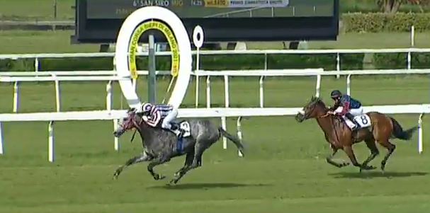 Ippica, Merano, Milano e Tagliacozzo: Oggi 27/06 Risultati Odierni Convegni di&nbsp;Corse