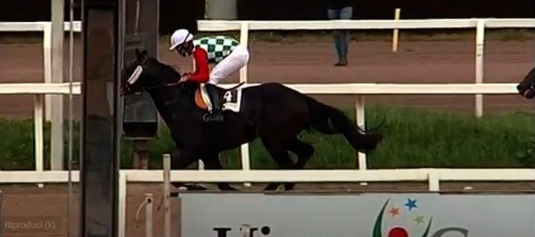 Palio di Legnano, Cavalli e fantini: Sanna e Siri&nbsp;protagonisti