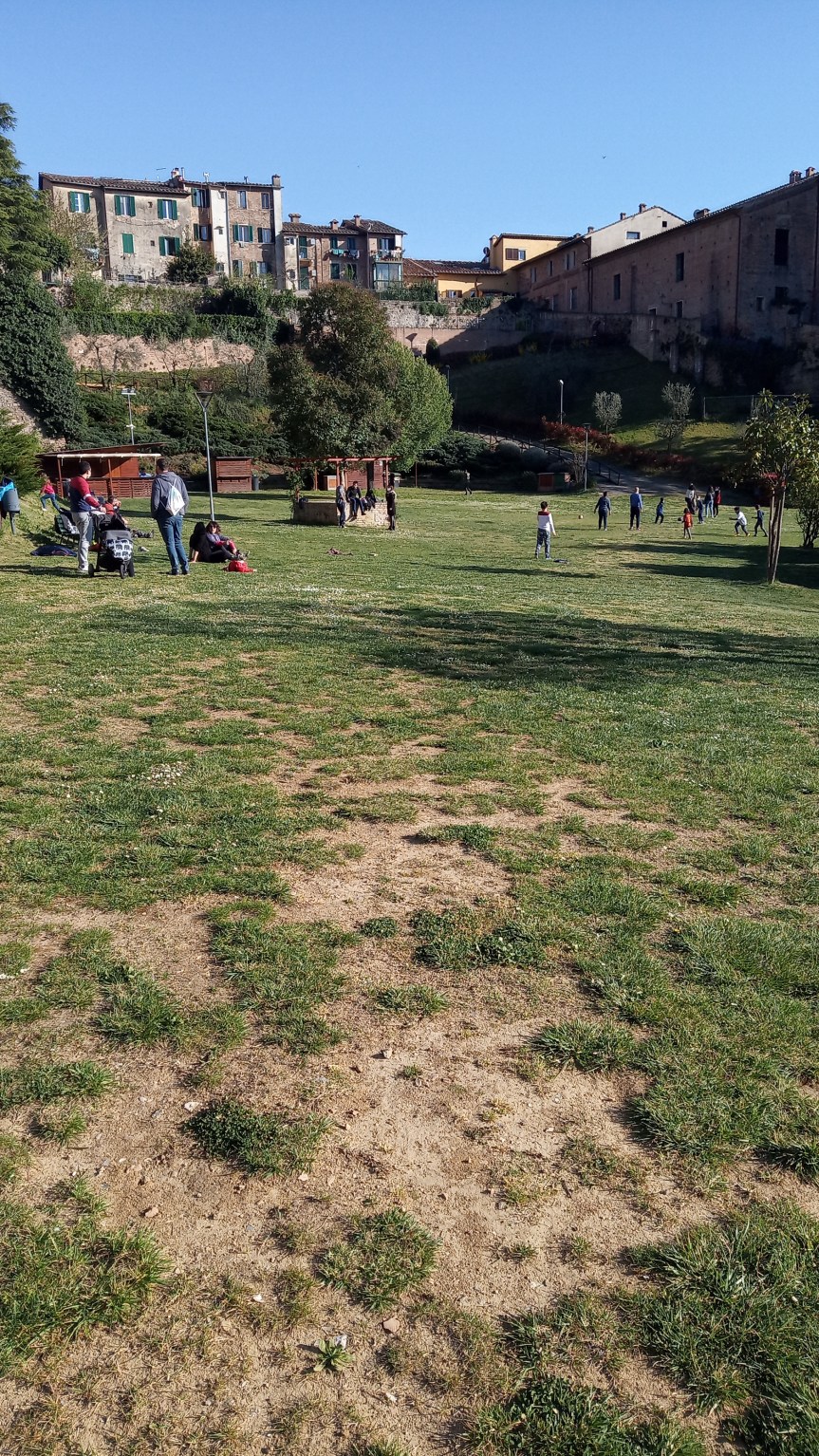 Oliveta scampagnata 1x