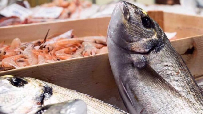 Toscana: Covid, cinque bandi nel pacchetto-pesca della&nbsp;Regione