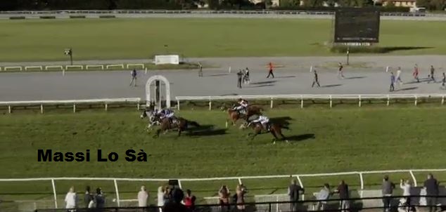 Ippica, Firenze: Oggi 20/05 Corse A.A., Cuore Impavido Vince la 1^, Beniamono Vince la 3^ e Zeta Penny Vince la&nbsp;6^