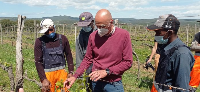 Provincia di Siena, L’inclusione parte dal lavoro: Percorso di formazione tra le vigne del Brunello per 24&nbsp;migranti