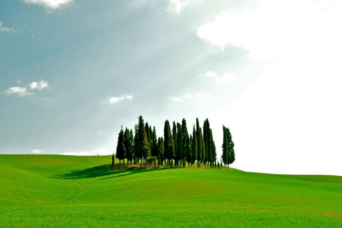 Toscana, Direttore agenzia viaggi, accelerazione per esame regionale: Ministero avvia iter per definizione&nbsp;profilo