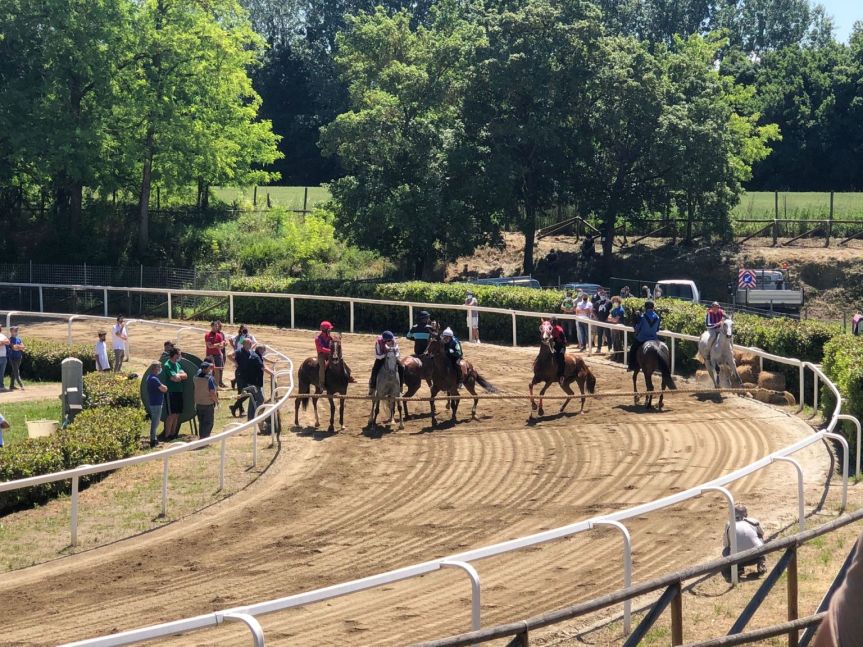 Palio di Fucecchio: Corse di Primavera, fra mascherine e limitazioni sprazzi di&nbsp;normalità