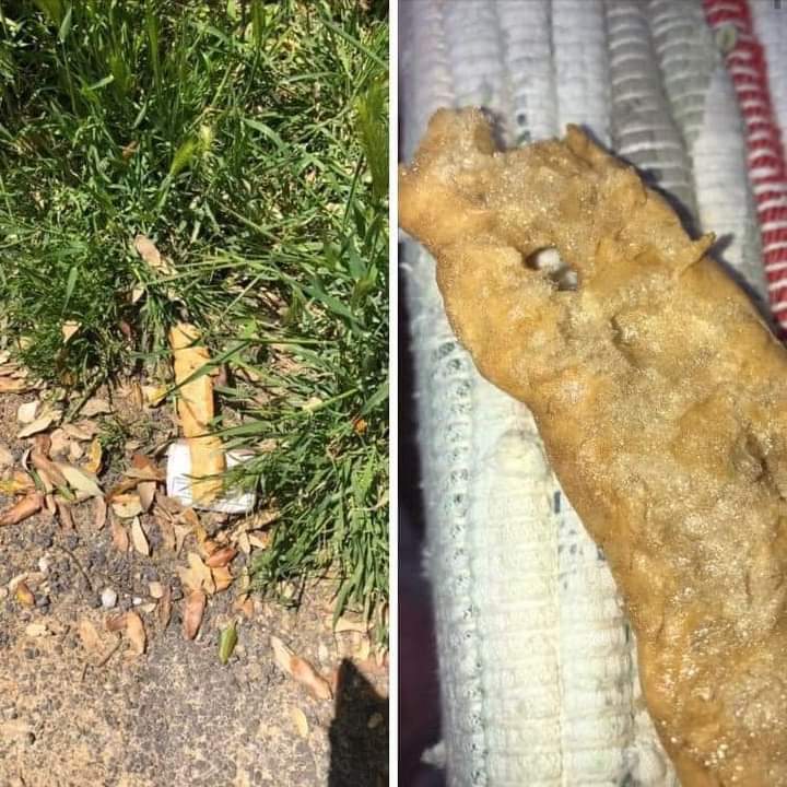 Siena: Oggi 05/05 segnalate spugne fritte ai&nbsp;Cappuccini