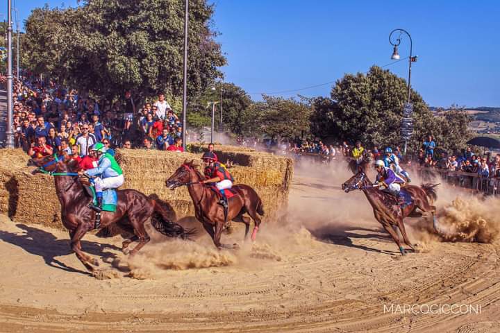 Cavalcata dell’Assunta Fermo: Ecco le due batterie della Corsa al Palio di oggi&nbsp;15/08