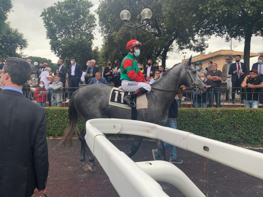 Palio di Legnano: Brutta caduta per il fantino Silvano&nbsp;Mulas