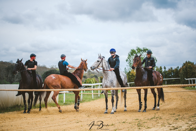 Palio di Siena: Domani, 11 maggio, lavori di addestramento nella pista di&nbsp;Mociano