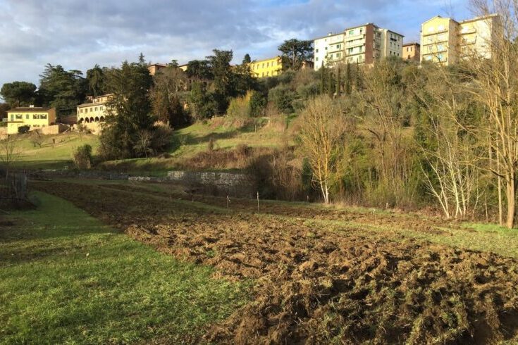 Siena: Legambiente, ecco il bando per gli Orti Urbani del Fosso di&nbsp;Ravacciano