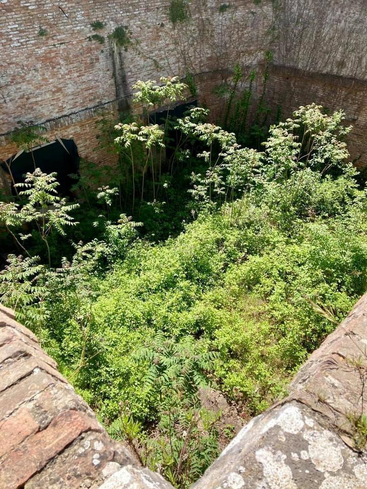 Siena, La segnalazione: I Bastioni della Fortezza in stato di&nbsp;abbandono