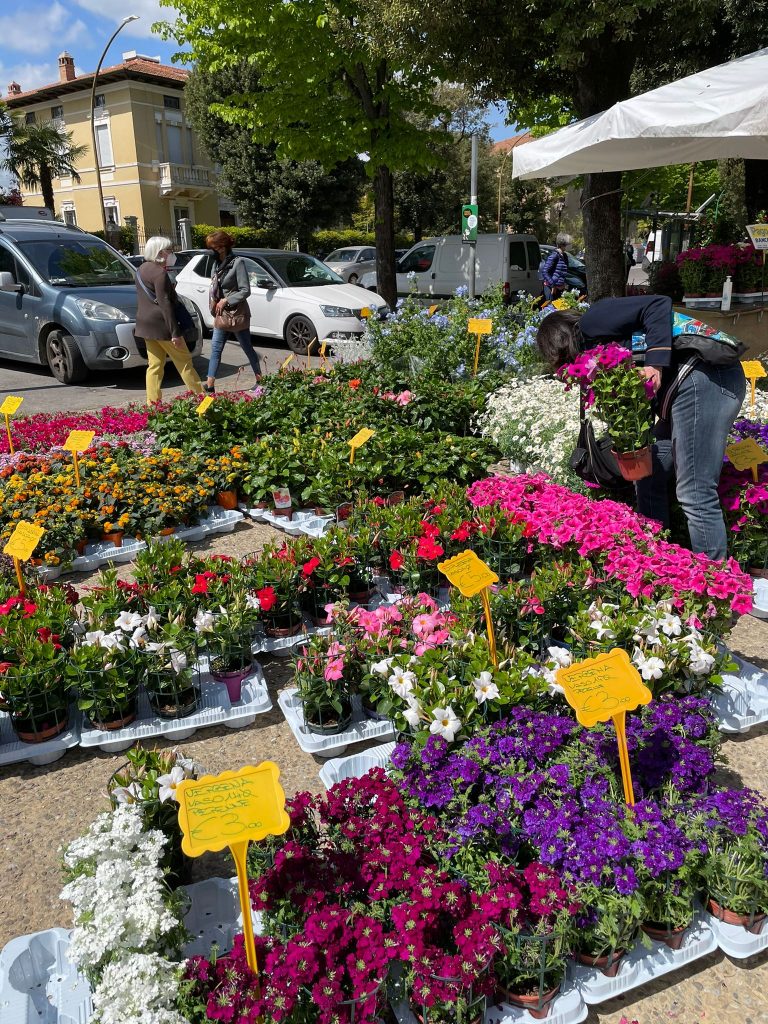 Siena: La nostra città in fiore con il mercato a San&nbsp;Prospero