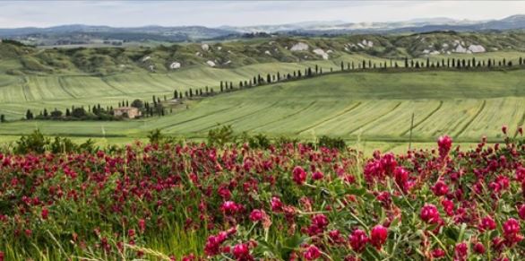 Siena: Un viaggio lungo la “Via Lauretana, tratto senese-aretino”, da Siena a Cortona, in 7 tappe, dal 29 maggio al 19 giugno, per riscoprire un territorio&nbsp;unico