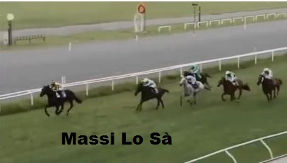 Ippica, Firenze: Oggi 16/09 Risultati Odierno Convegno di&nbsp;Corse