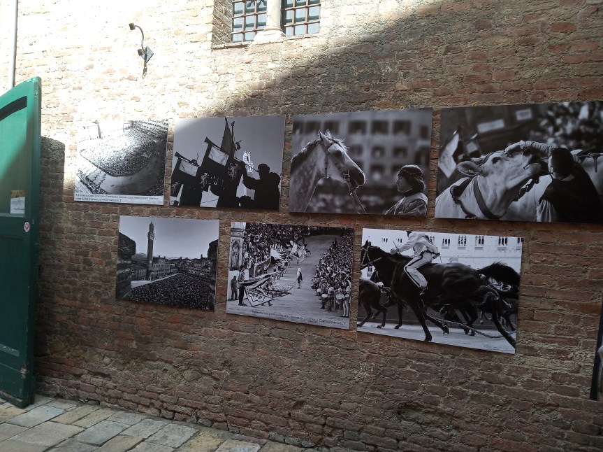 Siena: Oggi 11/06 Mostra fotografica “A Regola d’Arte”