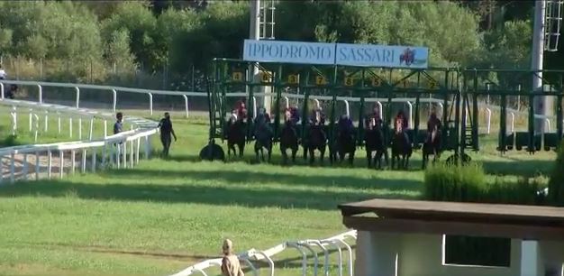 Ippica, Sassari: 21/10 Partenti 2^, 3^ e 4^ Corsa per cavalli&nbsp;Anglo-Arabi
