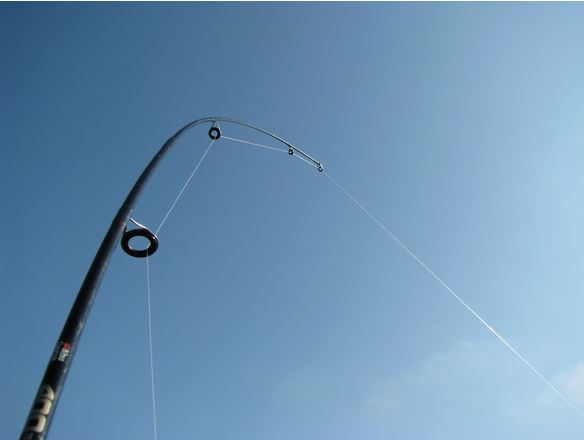 Siena, Acn Siena: Il Siena ripescato in serie&nbsp;C