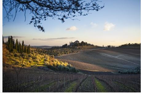 Provincia di Siena: Il Chianti attira imprenditori. Ecco le nuove attività ristoranti e vinerie&nbsp;d’eccellenza