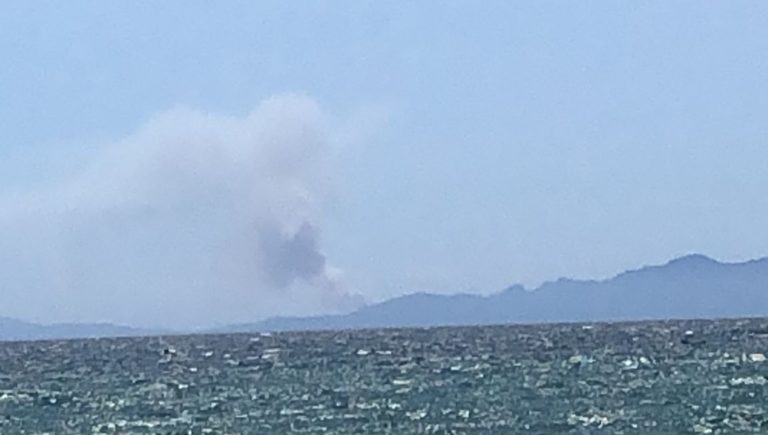 Toscana: Incendio vicino a Porto Azzurro, Isola d’Elba: fumo visibile fin da Follonica. Pronte squadre di&nbsp;rinforzo