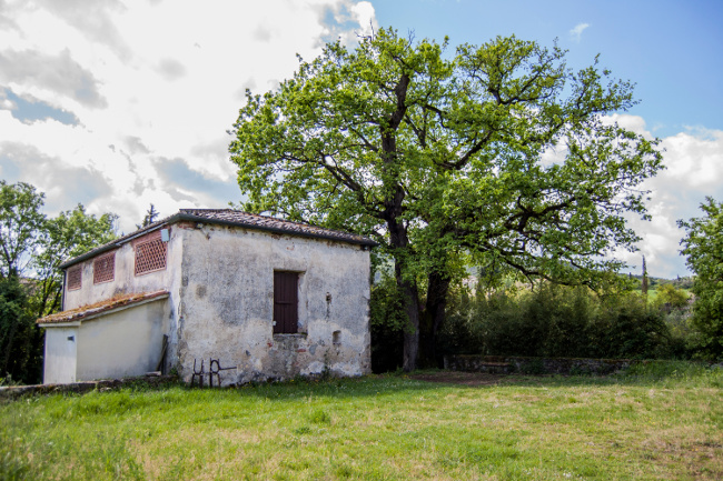 Provincia di Siena: Sovicille, riaperto al pubblico il Museo del Bosco di&nbsp;Orgia