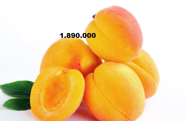 Massi Lo Sà, Nuovo Record del Blog: Raggiunta quota 1.890.000&nbsp;visite