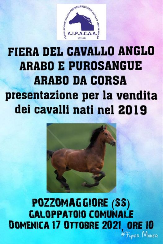 Ippica, Aipacaa: Ecco il Libretto della Fiera del cavallo a Pozzomaggiore ( SS) di domenica&nbsp;17/10