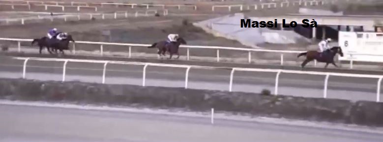 Ippica, Follonica: Oggi 27/08 Risultati Odierni Convegni di&nbsp;Corse