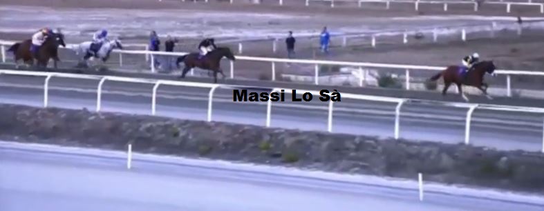 Ippica, Follonica: Oggi 20/08 Corse A.A., Cecco Biondo Vince la 3^, Zodiaco de Aighenta Vince la&nbsp;6^