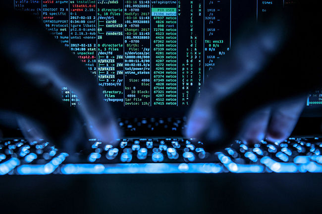 Siena, Attacco hacker russo: giù i siti del Senato e della&nbsp;Difesa