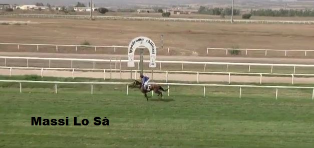 Ippica, Chilivani: Oggi 25/09 Corse A.A., Canarinu Vince la prima, Aster Vince la seconda, Carakas Girl Vince la&nbsp;quarta