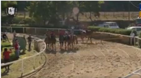 Palio di Fucecchio: Oggi 22/09 Riassunto delle&nbsp;batterie