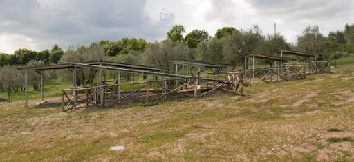 Provincia di Siena: Colle Val d’Elsa, il 13 settembre la Giornata degli Etruschi al Parco di&nbsp;Dometaia